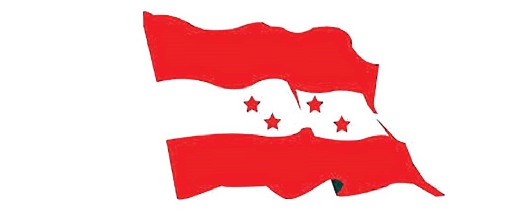 काङ्ग्रेसको १५औँ महाधिवेशन असोजमा