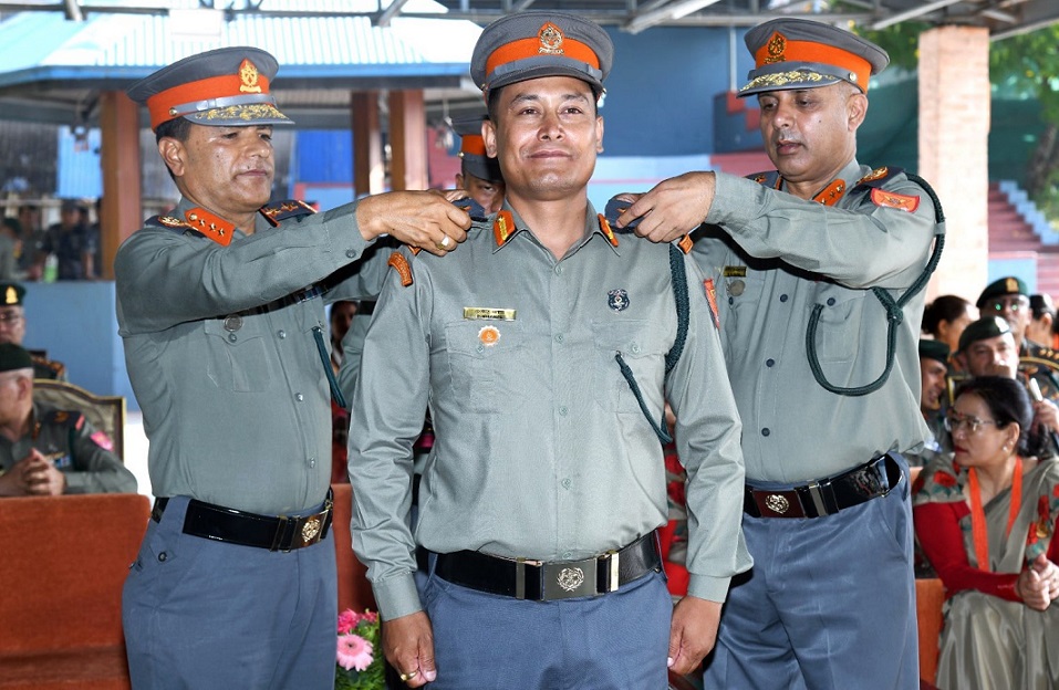 आर्किटेक्ट पृथ्वी : कानुन, कला र सुरक्षाका सङ्गम
